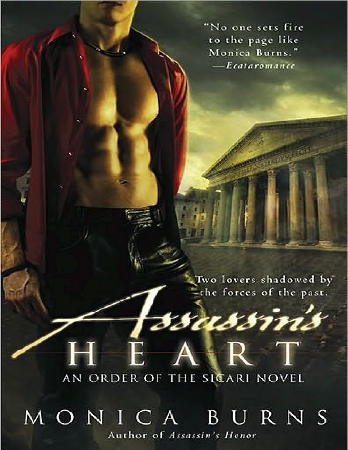 Assassins Heart Monica Burns