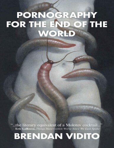Pornography For The End Of The World Brendan Vidito