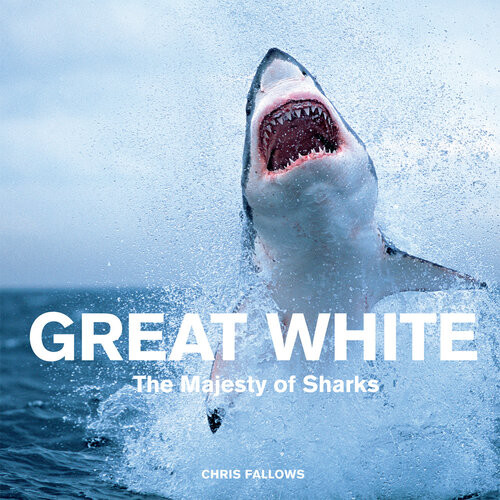 Great White The Majesty Of Sharks Chris Fallows