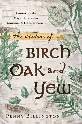 The Wisdom Of Birch Oak And Yew Connect To The Magic Of Trees For Guidance Transformation Penny Billington