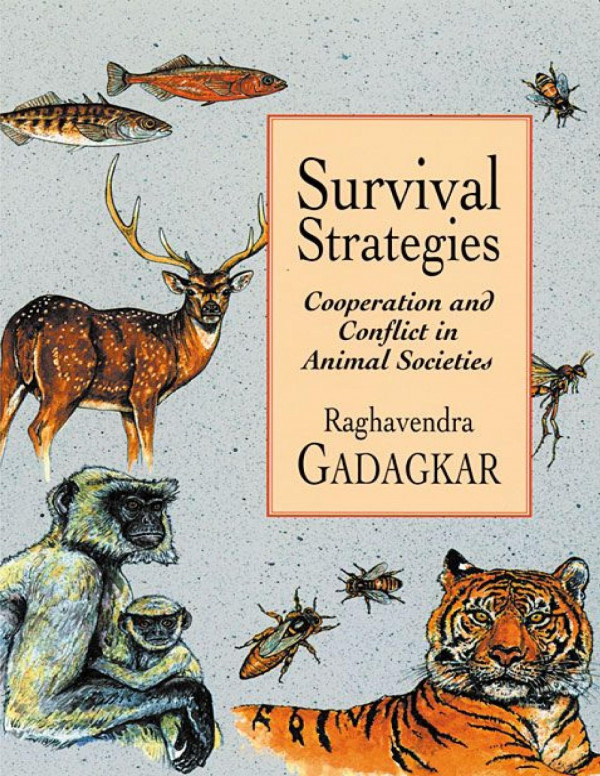 Survival Strategies Cooperation And Conflict In Animal Societies Raghavendra Gadagkar