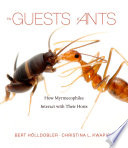 The Guests Of Ants How Myrmecophiles Interact With Their Hosts Bert Hlldobler