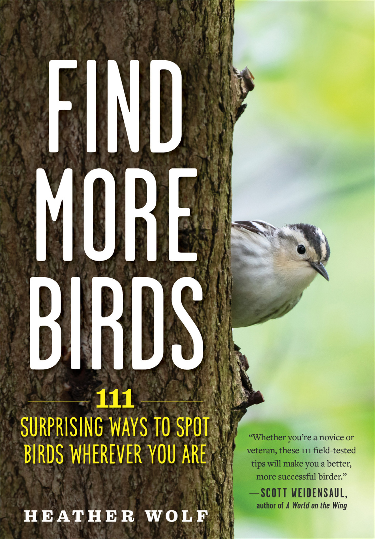 Find More Birds 111 Surprising Ways To Spot Birds Wherever You Are Heather Wolf