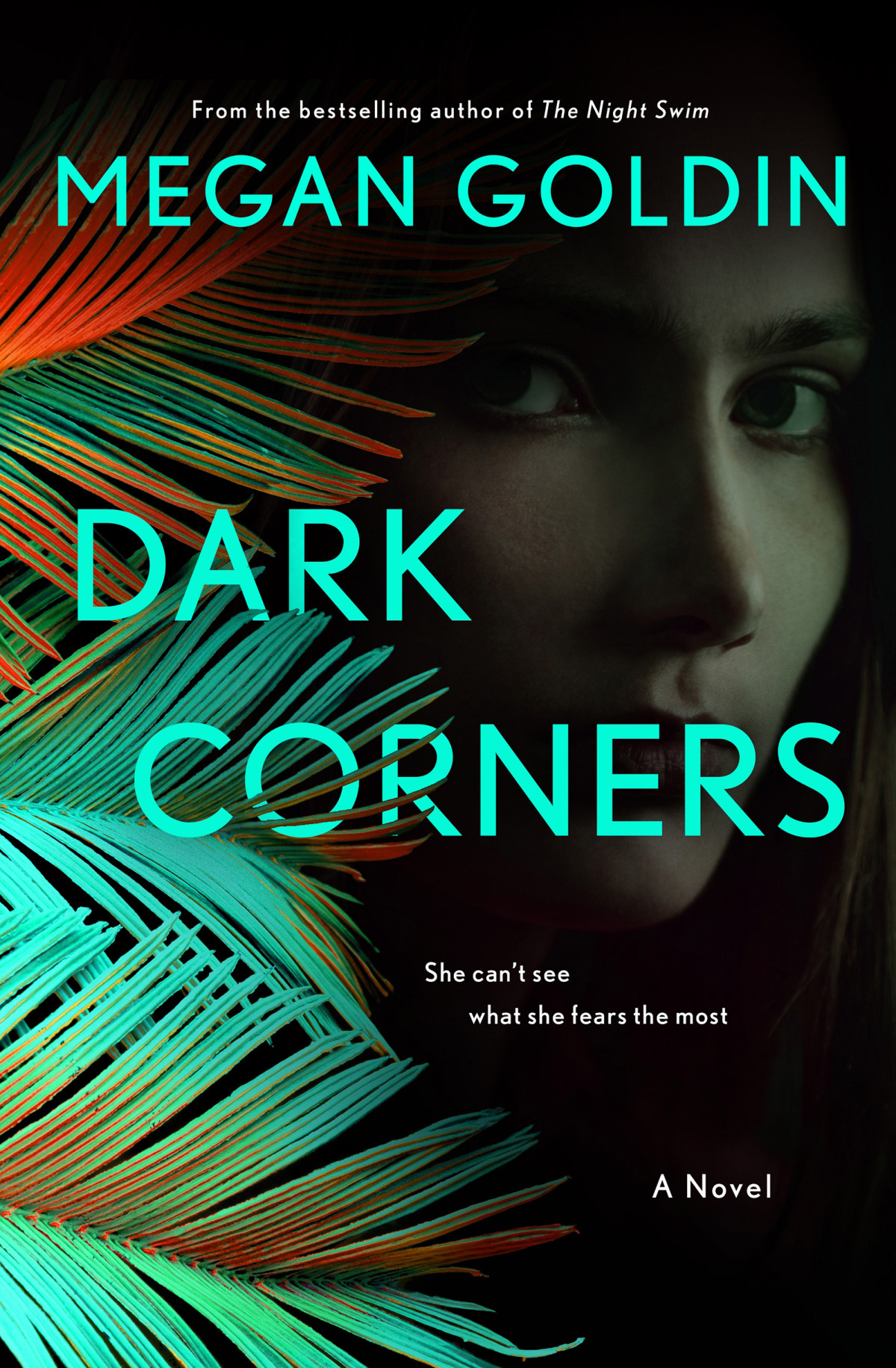 Dark Corners Megan Goldin