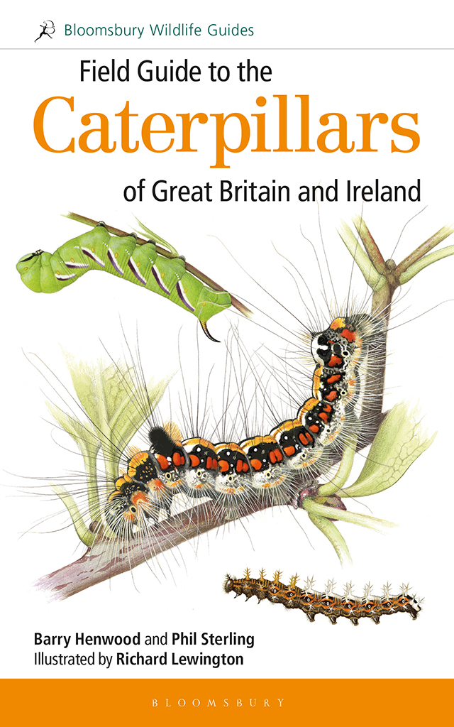 Field Guide To The Caterpillars Of Great Britain And Ireland Phil Sterling