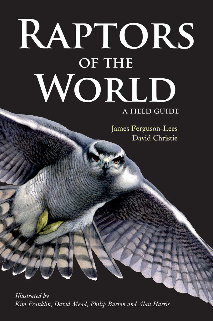 Raptors Of The World A Field Guide James Fergusonlees David A Christie