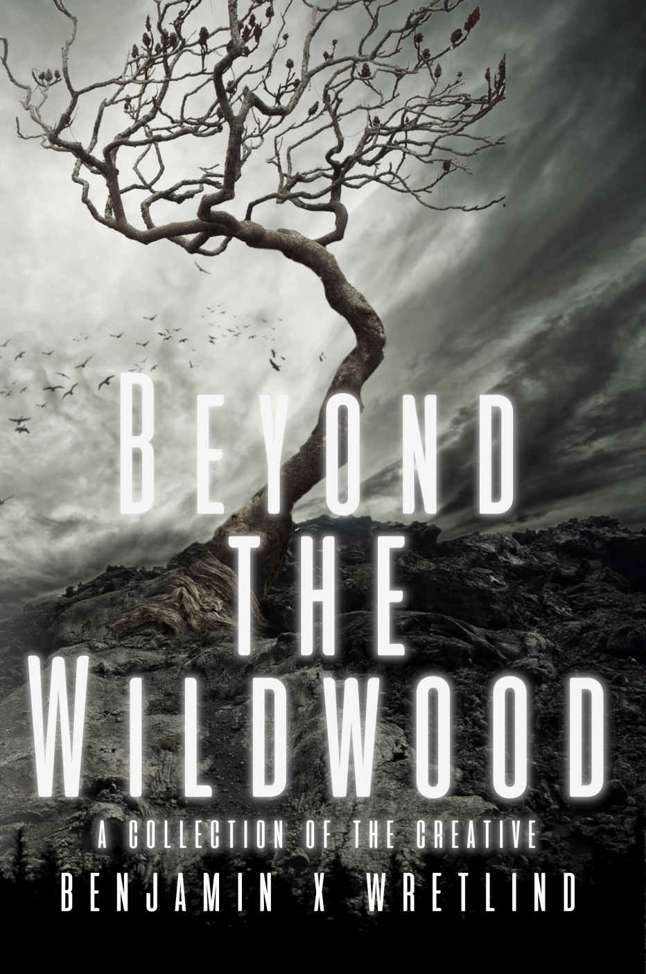 Beyond The Wildwood A Collection Of The Creative 1st Edition Benjamin X Wretlind