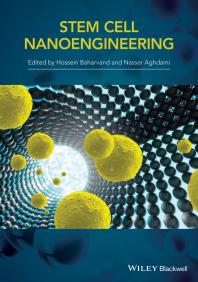 Stemcell Nanoengineering 1st Edition H Baharvand