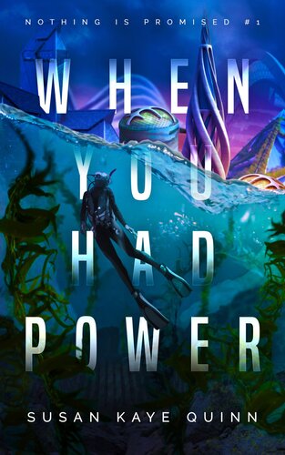 When You Had Power Susan Kaye Quinn