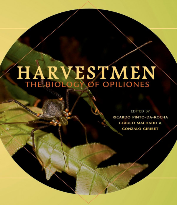 Harvestmen The Biology Of Opiliones Ricardo Pintodarocha