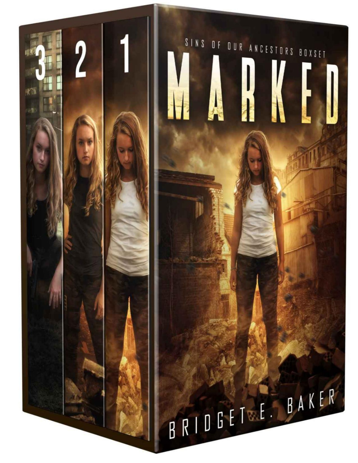 Sins Of Our Ancestors Boxed Set Marked Suppressed And Redeemed Bridget E Baker