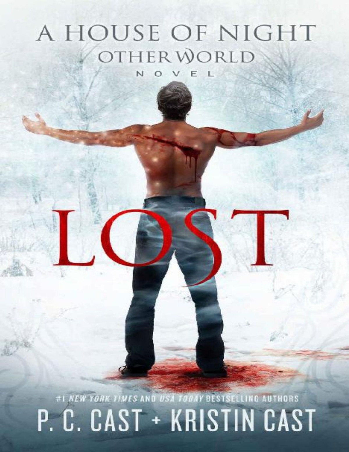 Lost The House Of Night Other World Series P C Cast Kristin Cast