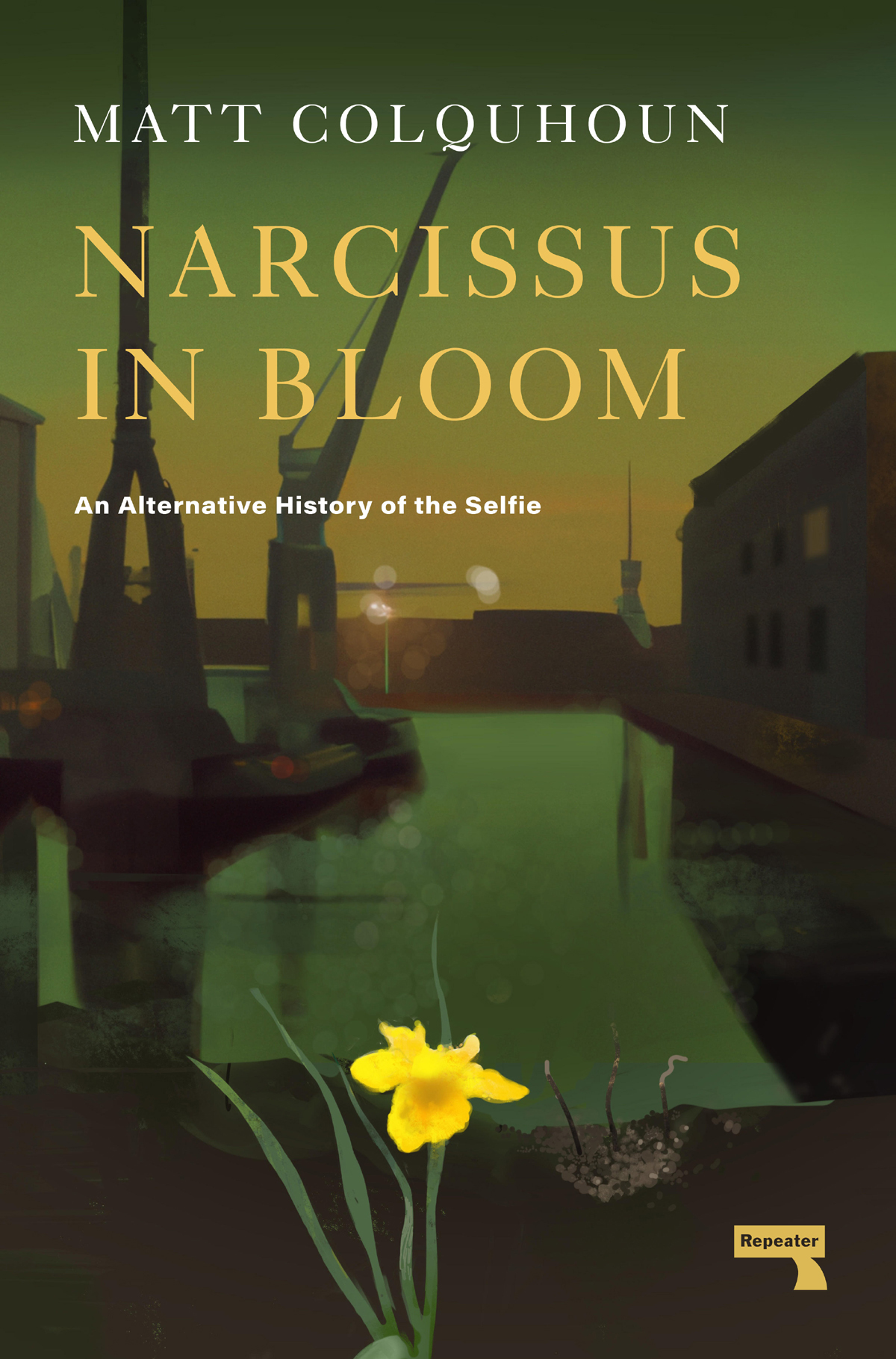 Narcissus In Bloom An Alternative History Of The Selfie Matt Colquhoun