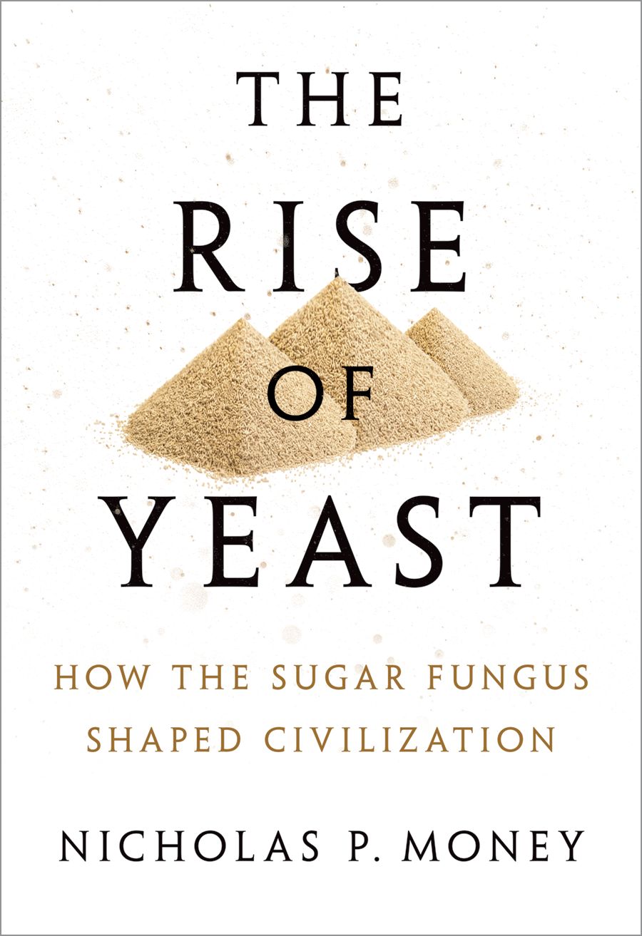 The Rise Of Yeast Nicholas P Money