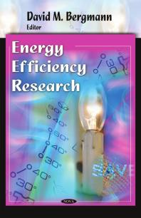 Energy Efficiency Research 1st Edition David M Bergmann