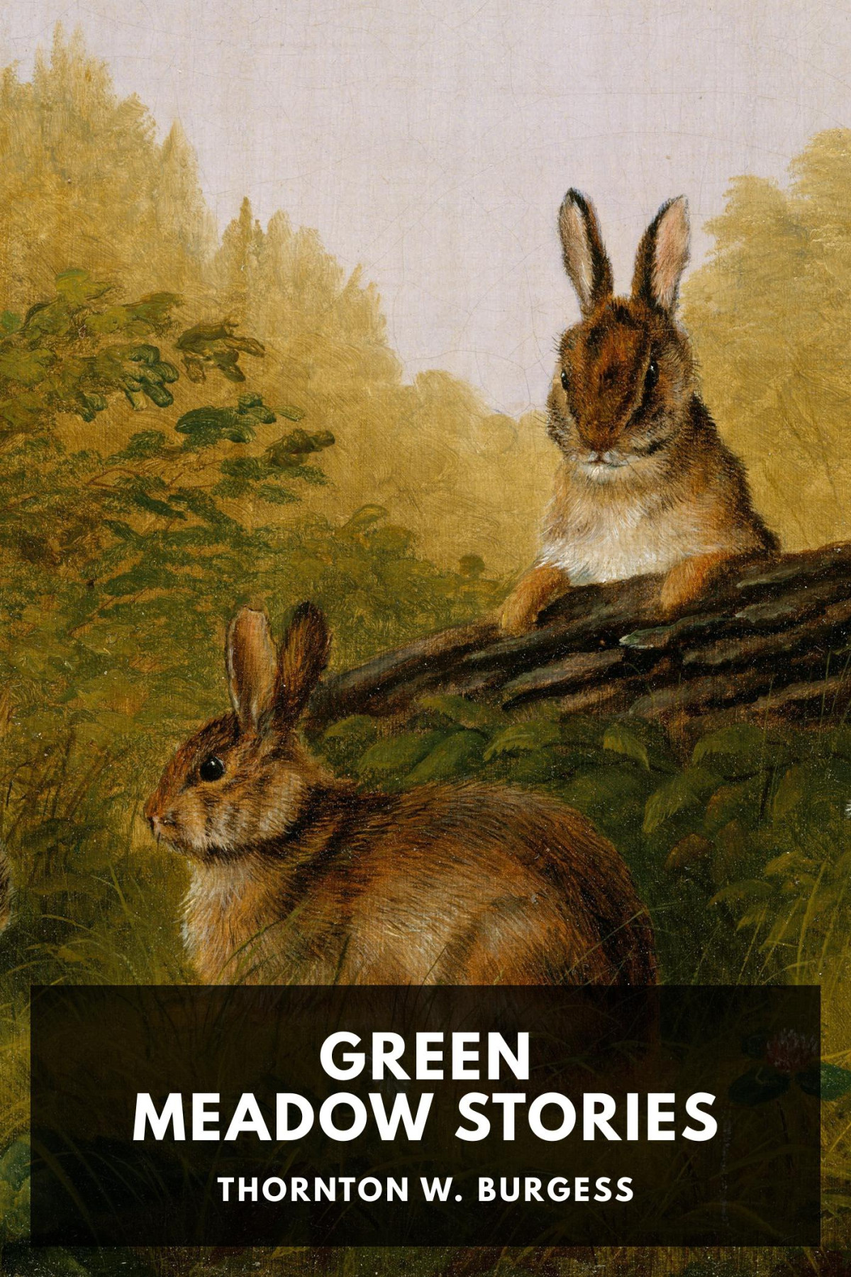 Green Meadow Stories Thornton W Burgess