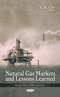 Natural Gas Markets And Lessons Learned 1st Edition E K Cho