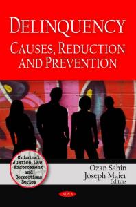 Deliquency Causes Reduction And Prevention 1st Edition Ozan Sahin Joseph Maier