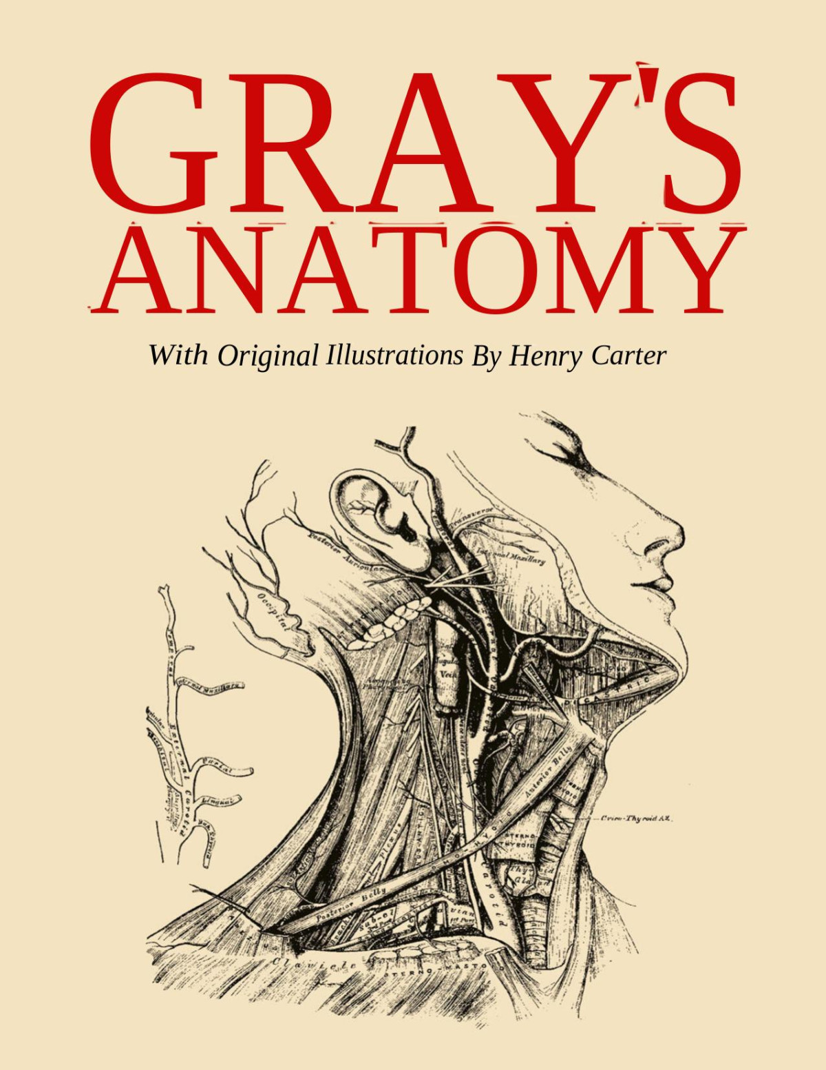 Grays Anatomy Henry Gray Henry Carter