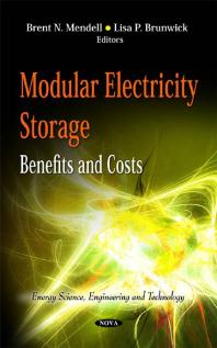 Modular Electricity Storage Benefits And Costs 1st Edition Brent N Mendell Lisa P Brunwick