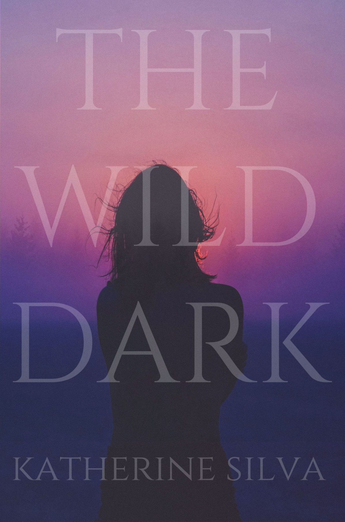 The Wild Dark Katherine Silva