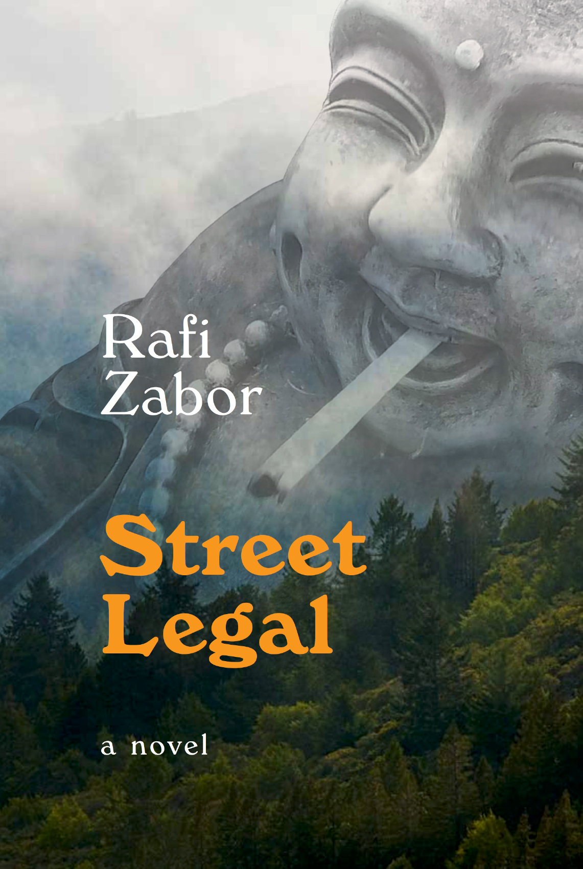 Street Legal Rafi Zabor