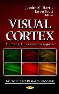 Visual Cortex Anatomy Functions And Injuries Anatomy Functions And Injuries 1st Edition Jessica M Harris Jason Scott