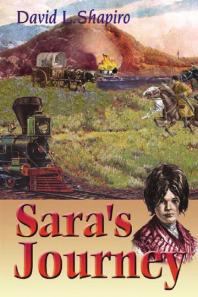 Saras Journey 1st Edition David L Shapiro