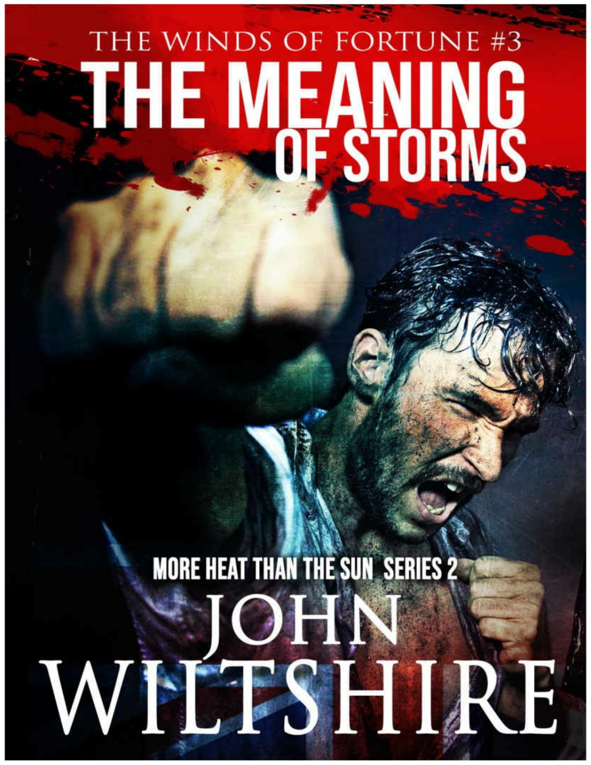 The Meaning Of Storms The Winds Of Fortune Book 3 Wiltshire