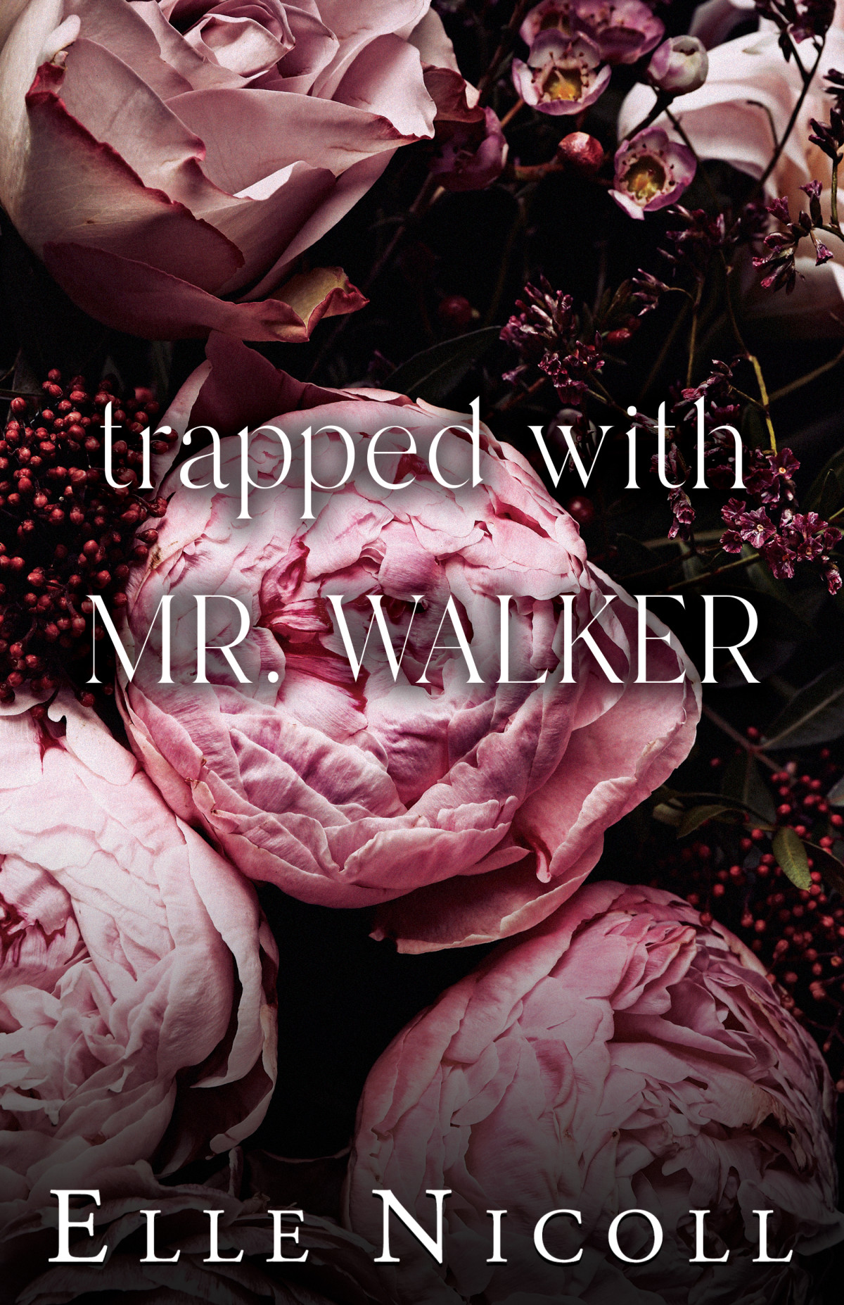 Trapped With Mr Walker Extended Epilogue The Wedding Elle Nicoll