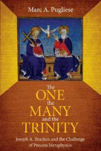 The One The Many And The Trinity Joseph A Bracken And The Challenge Of Process Metaphysics 1st Edition Marc A Pugliese