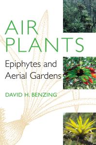 Air Plants Epiphytes And Aerial Gardens 1st Edition David H Benzing