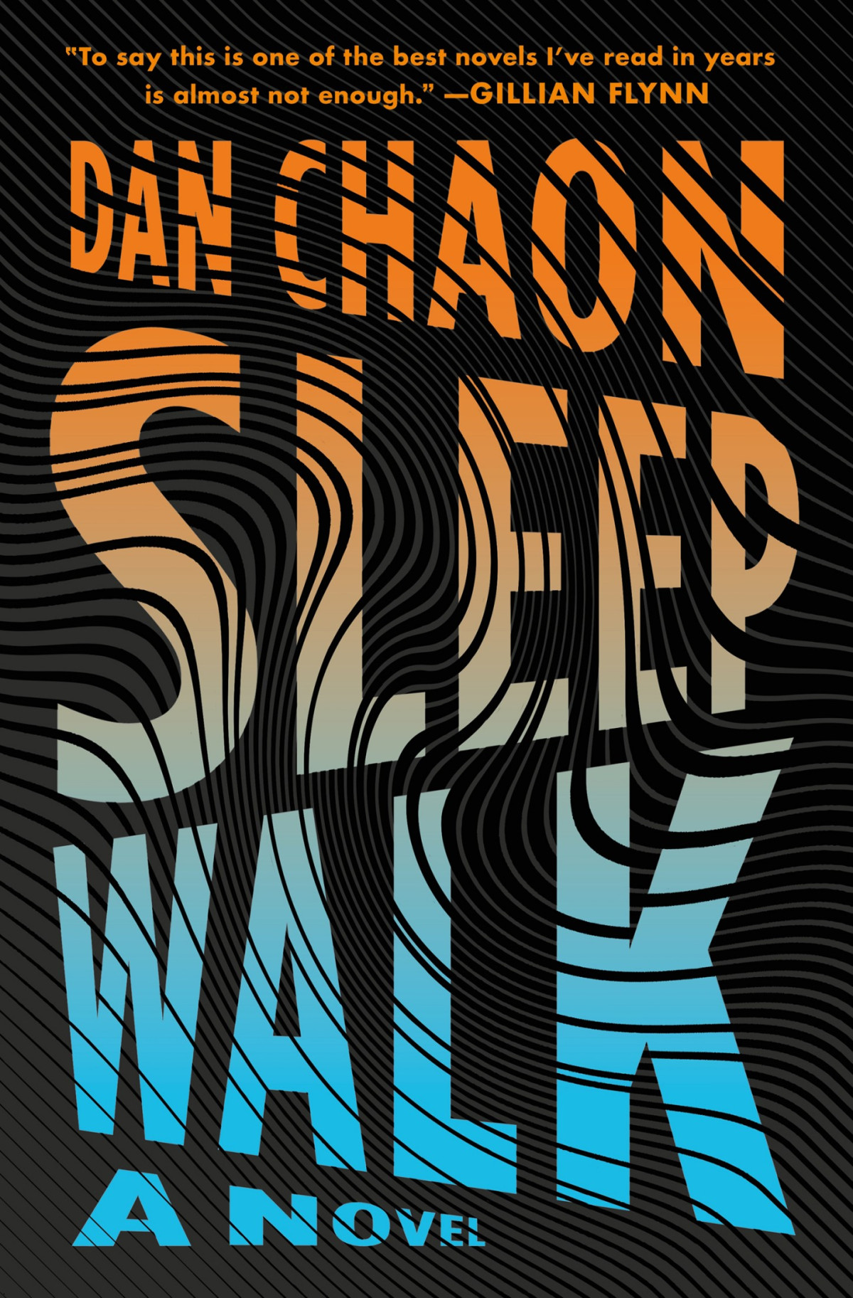 Sleepwalk Dan Chaon