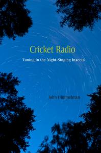 Cricket Radio Tuning In The Nightsinging Insects 1st Edition John Himmelman