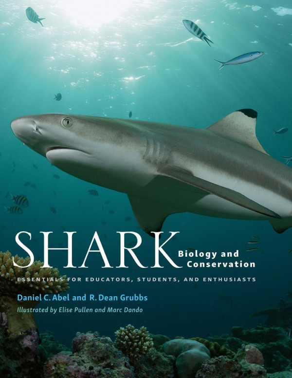Shark Biology And Conservation Essentials For Educators Students And Enthusiasts 1st Edition Daniel C Abel