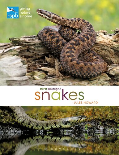 Snakes 1st Edition Jules Howard