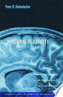 Neural Plasticity The Effects Of Environment On The Development Of The Cerebral Cortex Peter R Huttenlocher