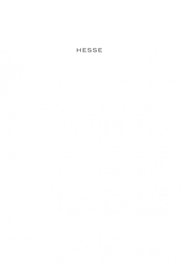 Hesse The Wanderer And His Shadow Gunnar Decker