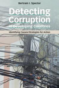 Detecting Corruption In Developing Countries Identifying Causesstrategies For Action 1st Edition Bertram I Spector