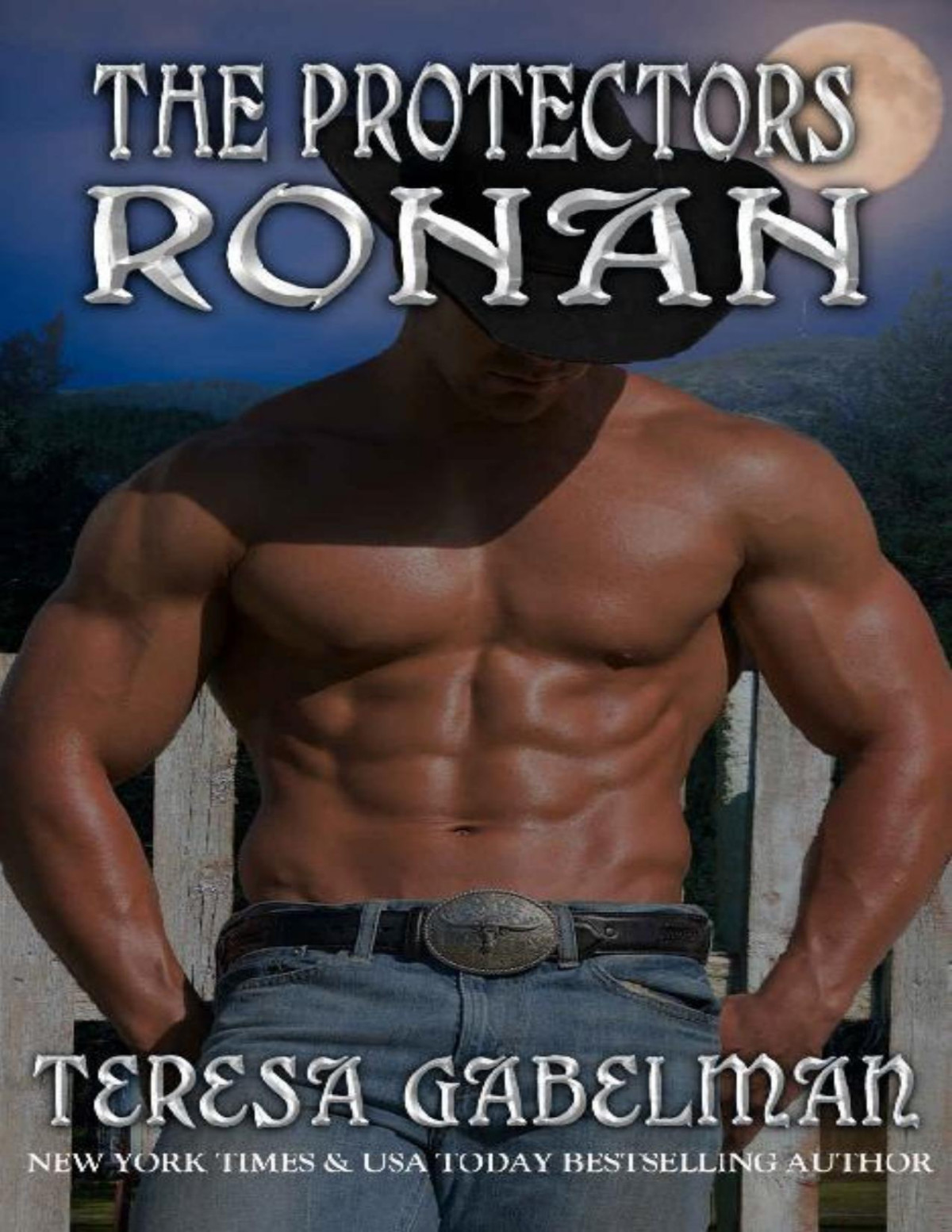Ronan The Protectors Series Book 12 Teresa Gabelman