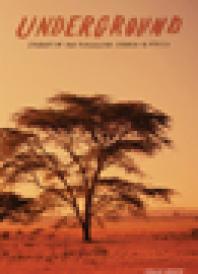 Underground Stories Of The Persecuted Church In Africa 1st Edition Howie Shute
