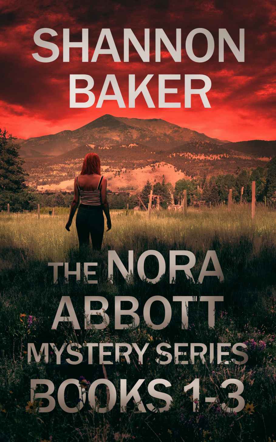 The Nora Abbott Mystery Series Box Set Shannon Baker