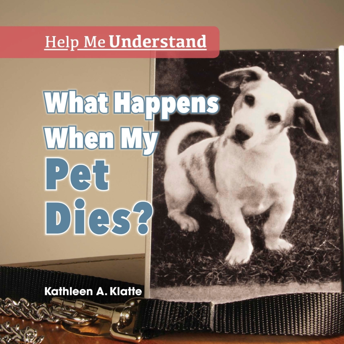 What Happens When My Pet Dies Kathleen A Klatte