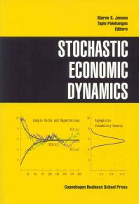 Stochastic Economic Dynamics 1st Edition Bjarne S Jensen Tapio Palokangas