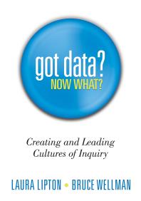 Got Data Now What Creating And Leading Cultures Of Inquiry 2nd Edition Laura Lipton Bruce Wellman