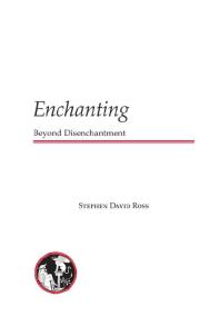 Enchanting Beyond Disenchantment 1st Edition Stephen David Ross