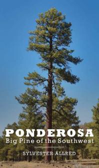 Ponderosa Big Pine Of The Southwest 1st Edition Sylvester Allred