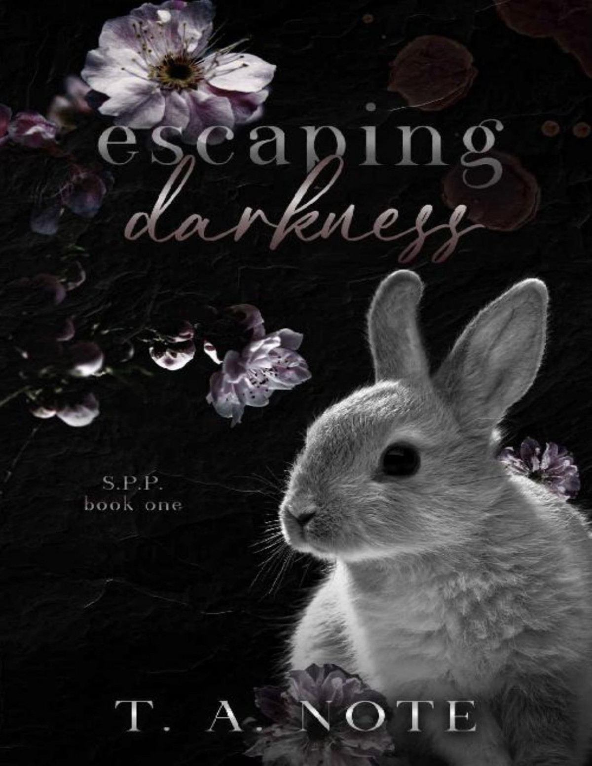 Escaping Darkness Spp Book One Ta Note