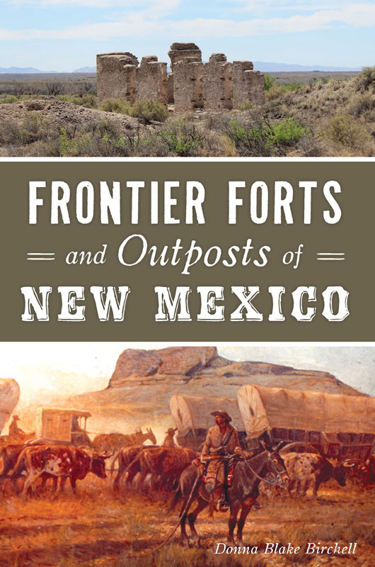 Frontier Forts And Outposts Of New Mexico Donna Blake Birchell