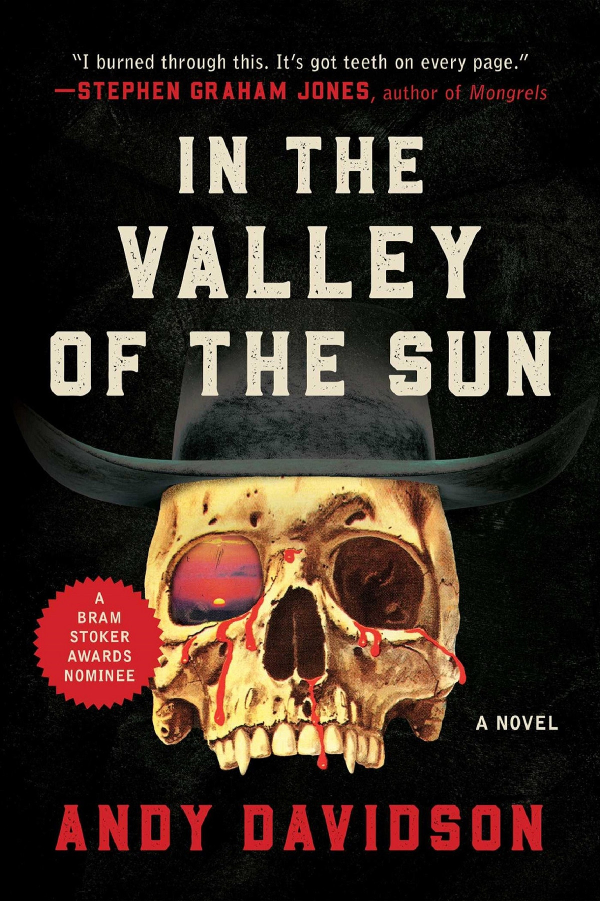 In The Valley Of The Sun A Novel Andy Davidson
